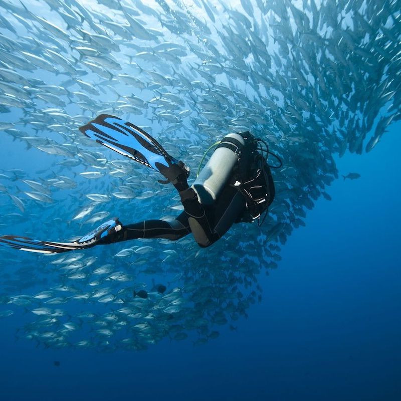 Brevet de plongée PADI Open Water Diver à Paris, pack complet 3 jours. Brevet de plongée PADI Open Water Diver à Paris, pack complet 3 jours.