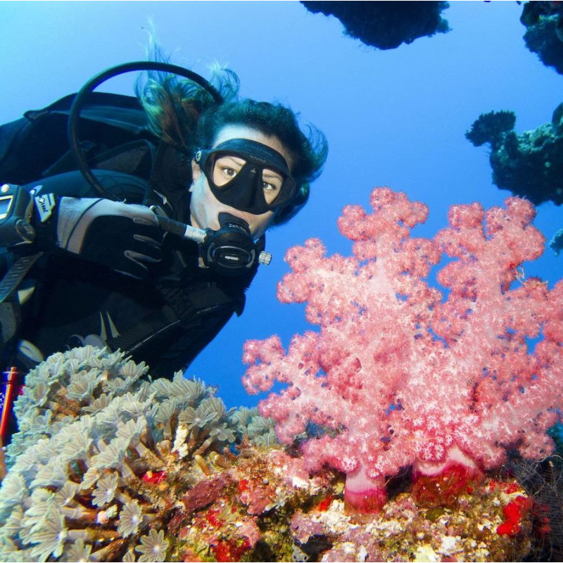 Brevet de plongée PADI Open Water Diver à Paris en 1 jour semaine. Brevet de plongée PADI Open Water Diver à Paris en 1 jour semaine.
