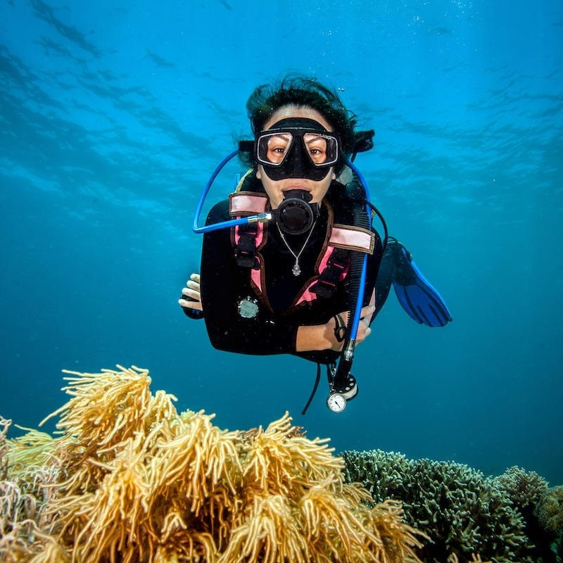 Brevet de plongée PADI Open Water Diver à Paris en 1 jour semaine. Brevet de plongée PADI Open Water Diver à Paris en 1 jour semaine.